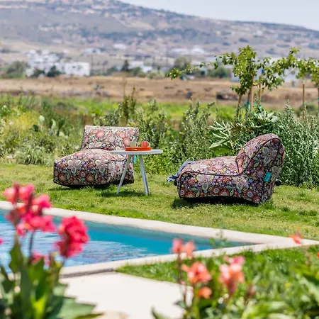 Villa Plioni With Private Pool & With Hot Tub Mikri Vigla