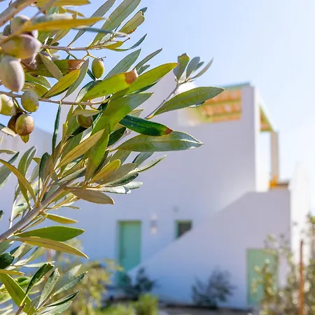 Vila Plioni With Private Pool & With Hot Tub *