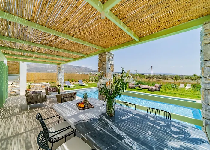 Plioni With Private Pool & With Hot Tub Mikri Vigla