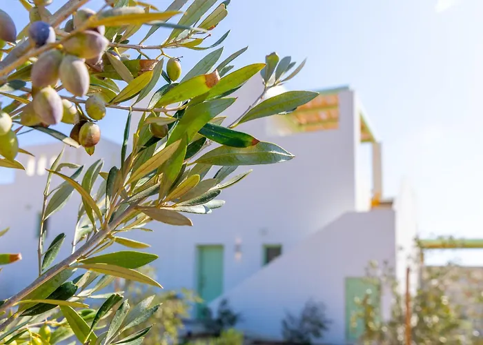 Villa Plioni With Private Pool & With Hot Tub *